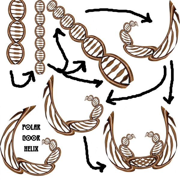 Creation of Flying Spaghetti Monsters: Step 2